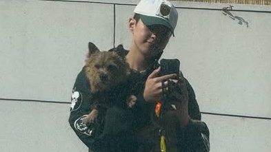 hoschi's tweet photo. i. with mama,
ii. latte is coming too,
iii. found a mirror, feeling cute,
iv. twinning. https://t.co/FpPGIYsYee