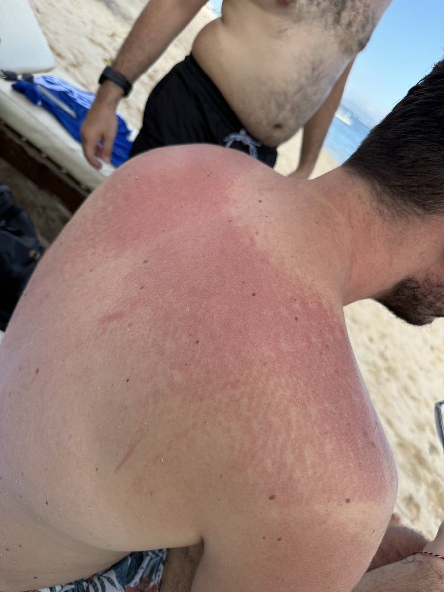 Botslim29 tweet media