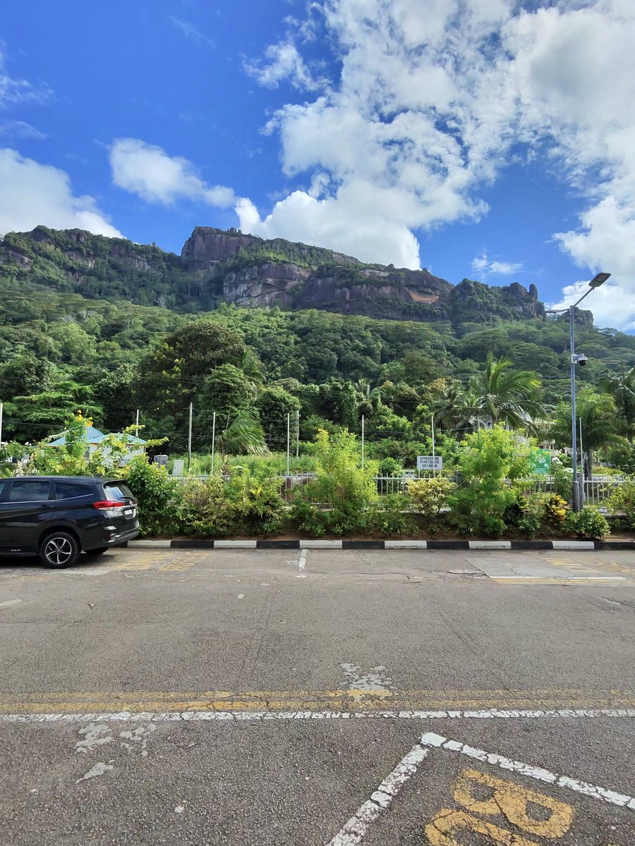 Phone on DND till further notice! I dey honeymoon. 

For emergencies please reach out to my assistant perliksdefinition@gmail.com