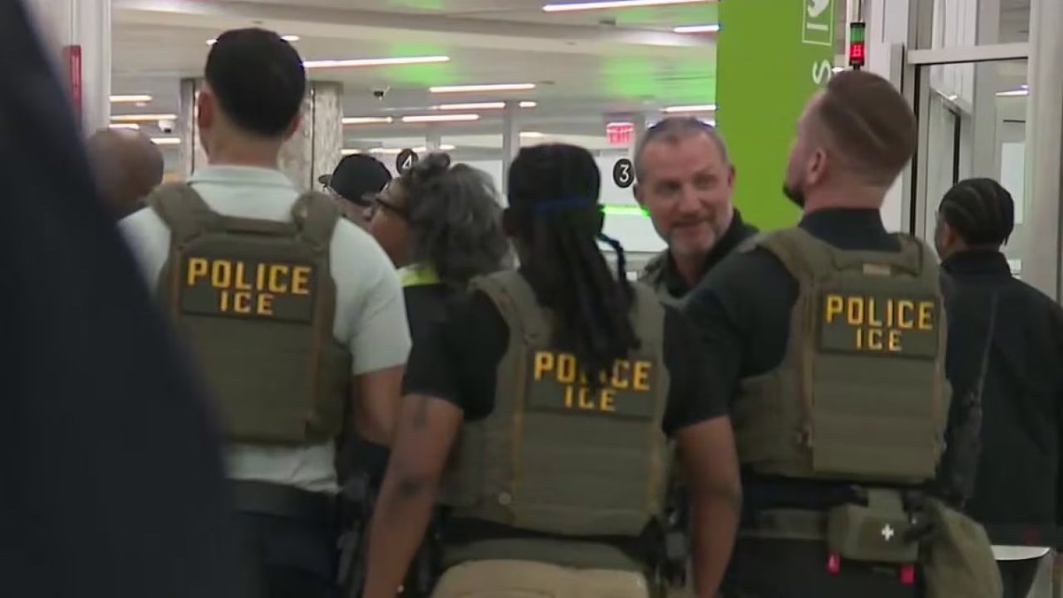 Everything Georgia tweet media