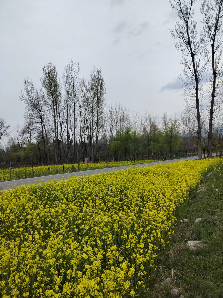 Bash Index tweet media