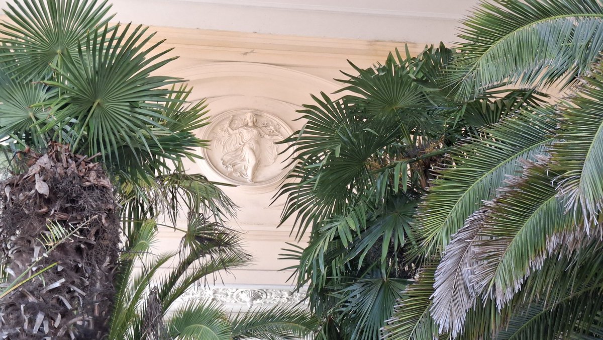 Yvonnchen10's tweet image. Wir hatten das Glück einen kurzen Blick in die Orangerie werfen zu können. 
Ab 16. Mai kommen die Pflanzen raus in den Park.
#Sanssouci 
#Park