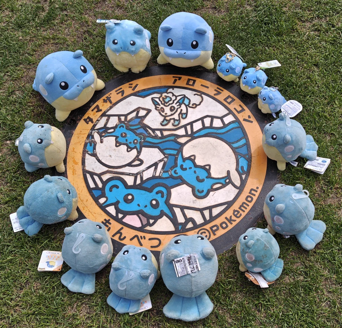 ポケモンだいすきクラブ編集部【公式】 on X: 