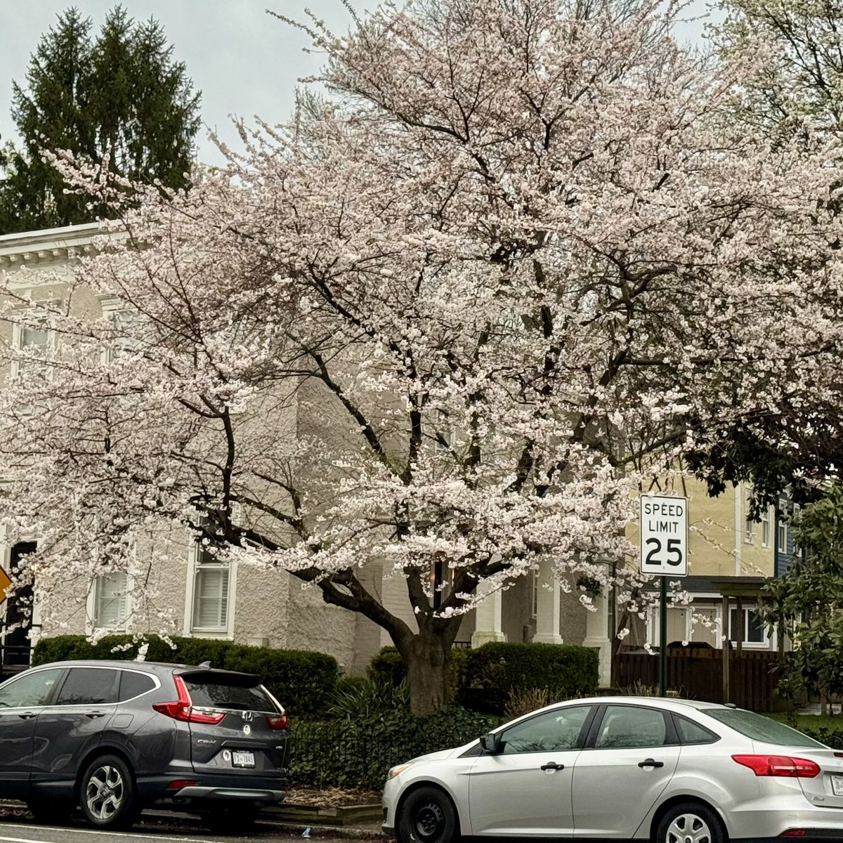 Topa Topa tweet media