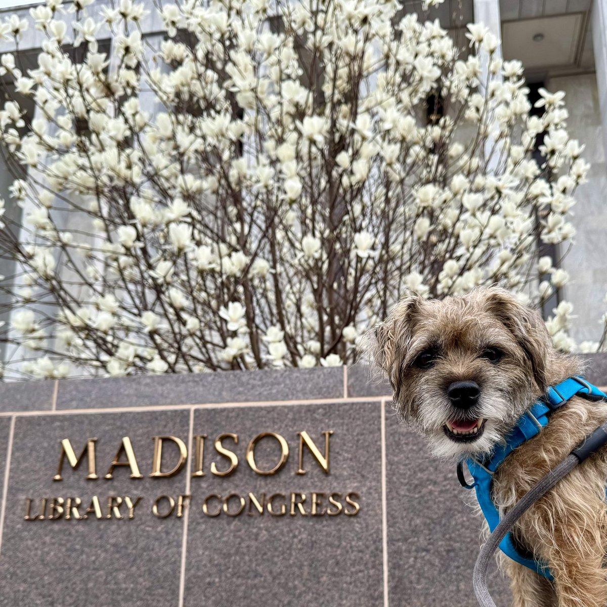 Topa Topa tweet media