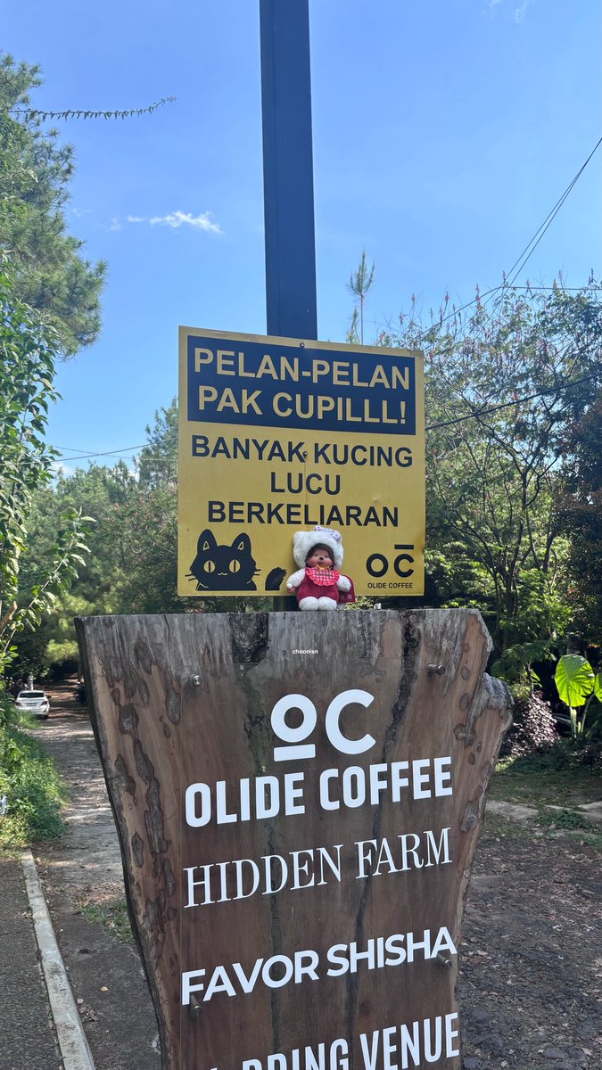 elle 🎐 tweet media