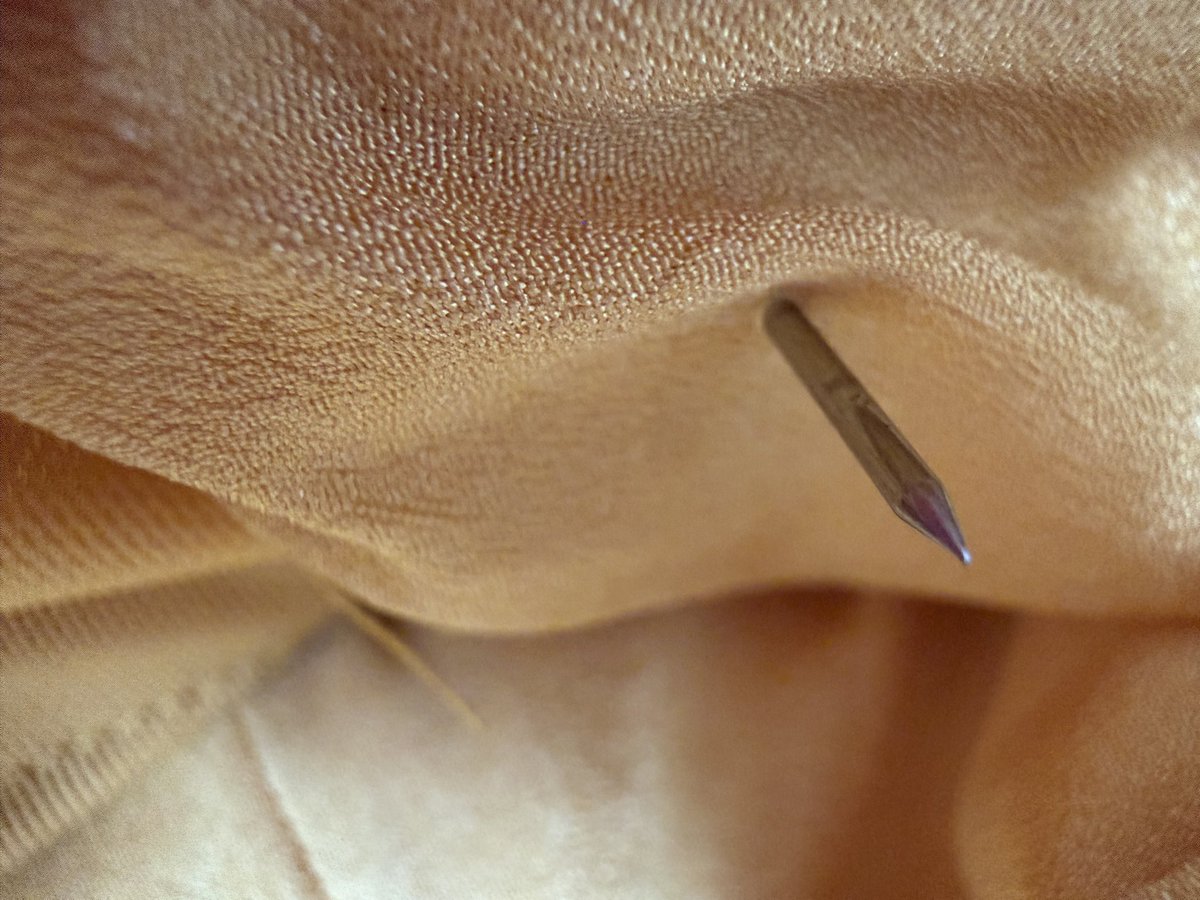 Lia Eggleston tweet media