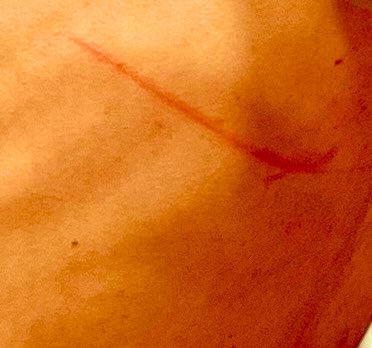 Lia Eggleston tweet media