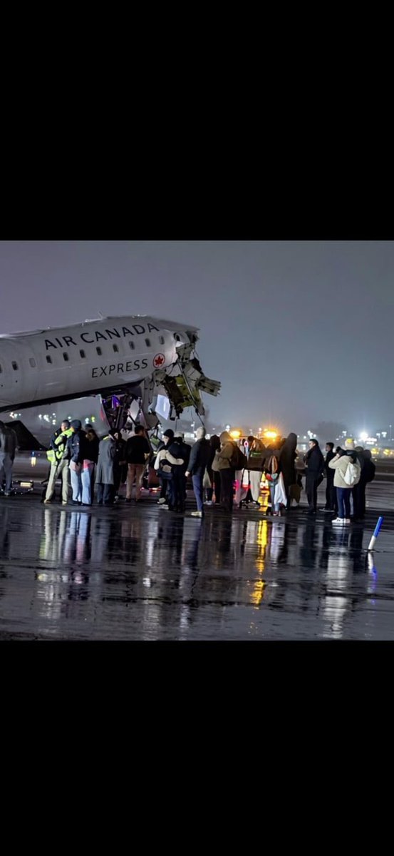 The Maga Trigger tweet media