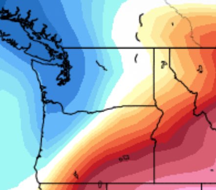 lana💤 tweet media