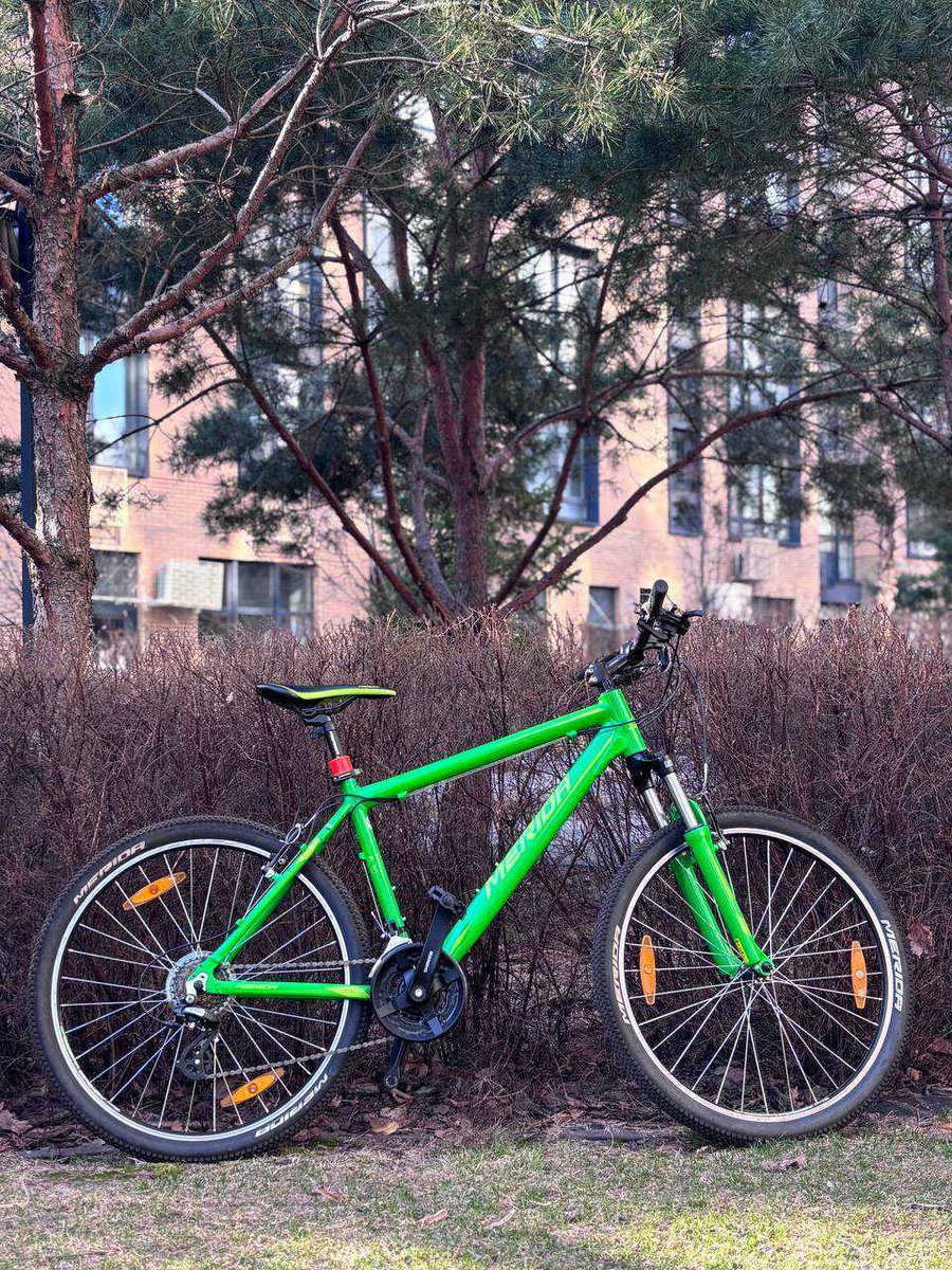 Dodo Socks tweet media