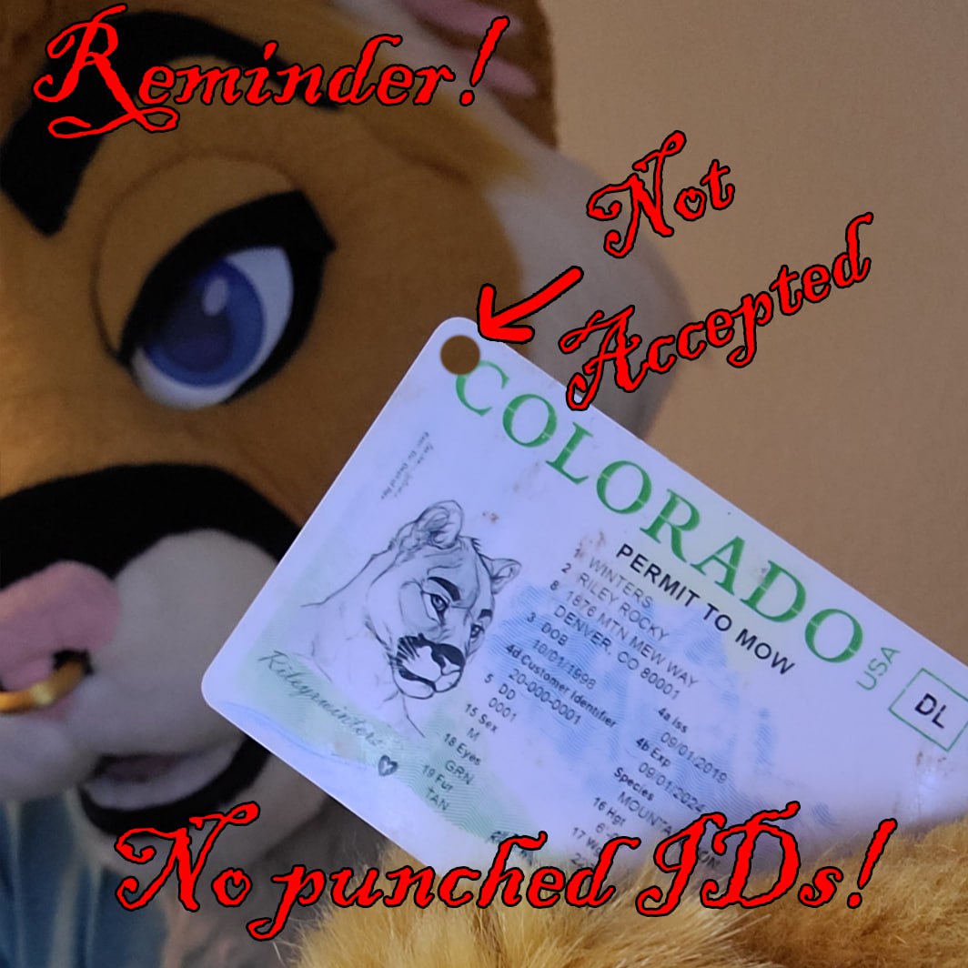 LVFC 2026 tweet media