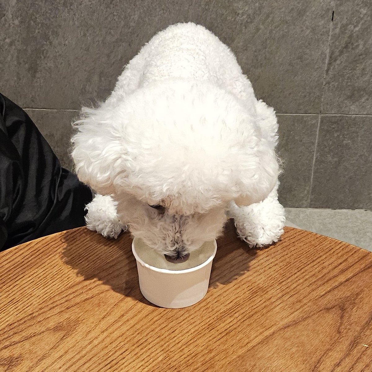 사천.. tweet media