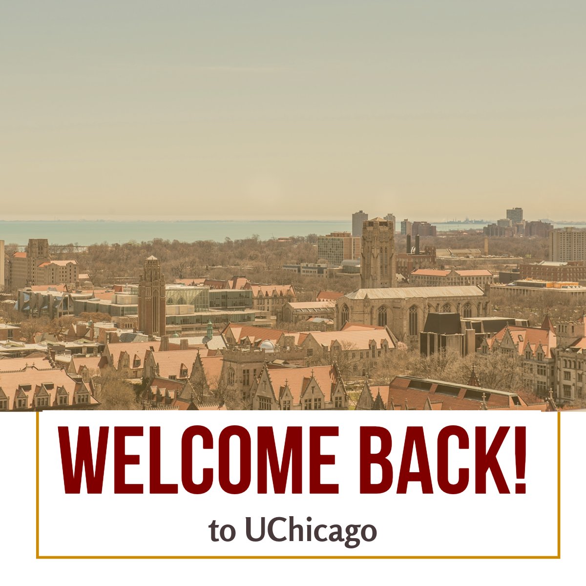 UChicagoSafe tweet media