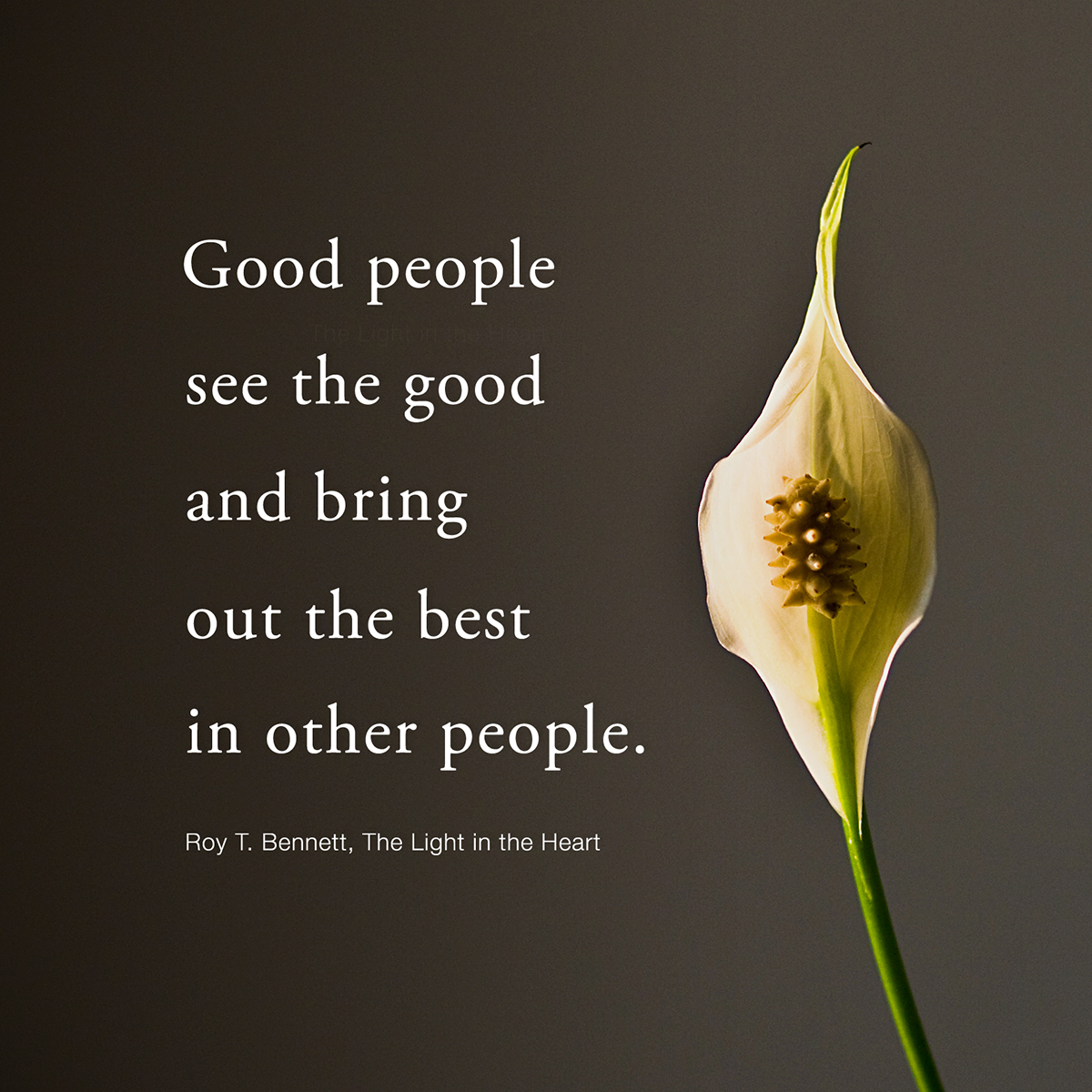 Good people see the good and bring out the best in other people.
Roy T. Bennett, The Light in the Heart