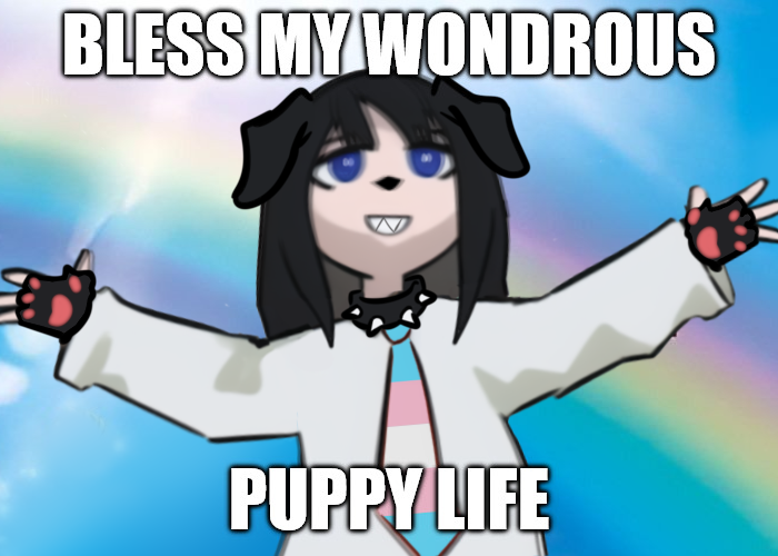 Qwarzu🏳️‍⚧️👽 tweet media