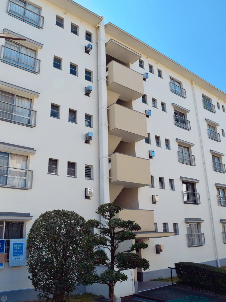 公団ウォーカー 照井啓太 tweet media