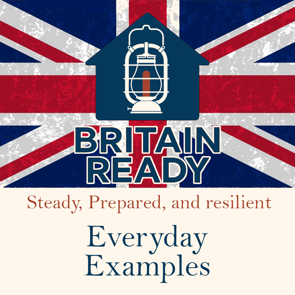 Joint Civil Aid Corps - National Civil Defence tweet media