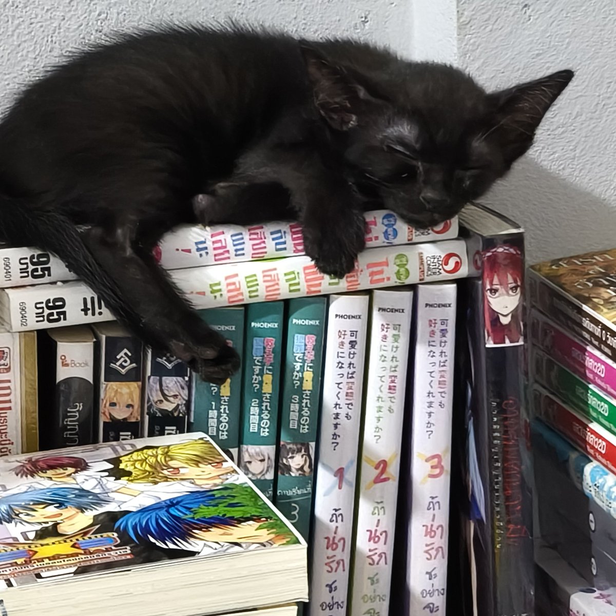 Lizer Morgan-LizerM tweet media