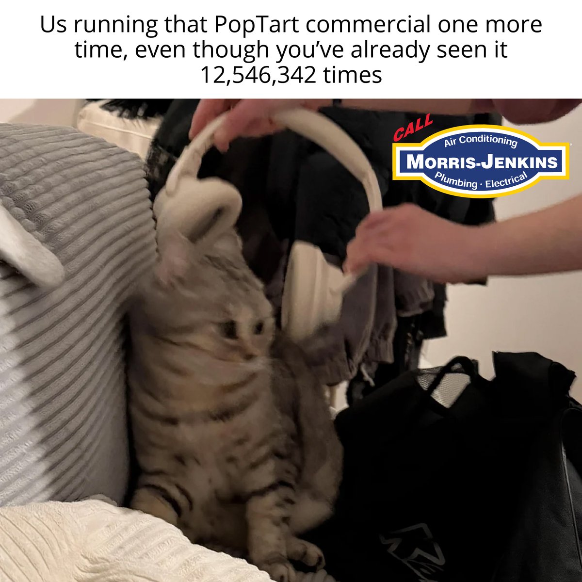 Morris-Jenkins tweet media