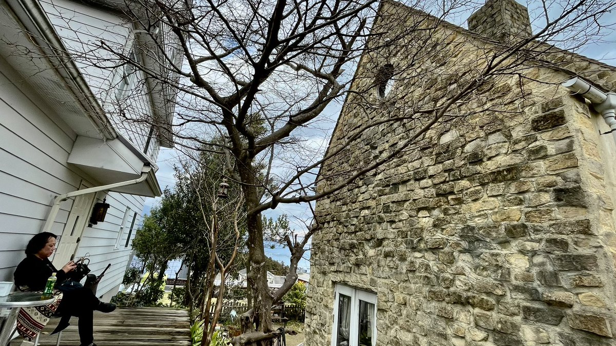 沢田穣治　Jyoji Sawada (Unknown-Silence) tweet media