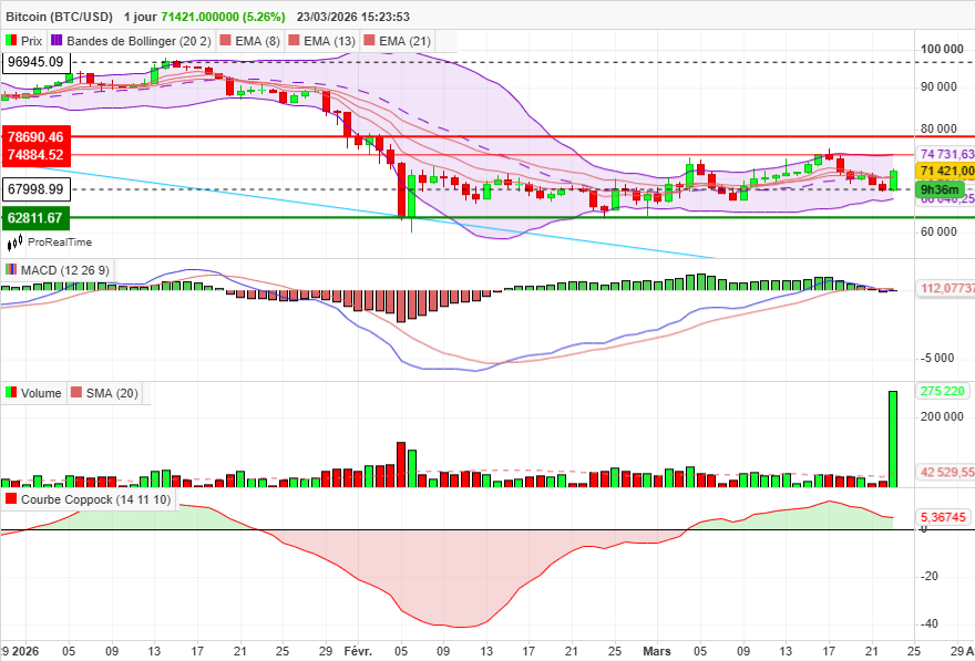 LeTraderFou tweet media