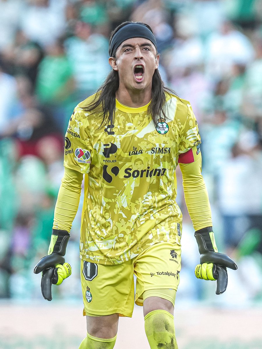 dataref México tweet media