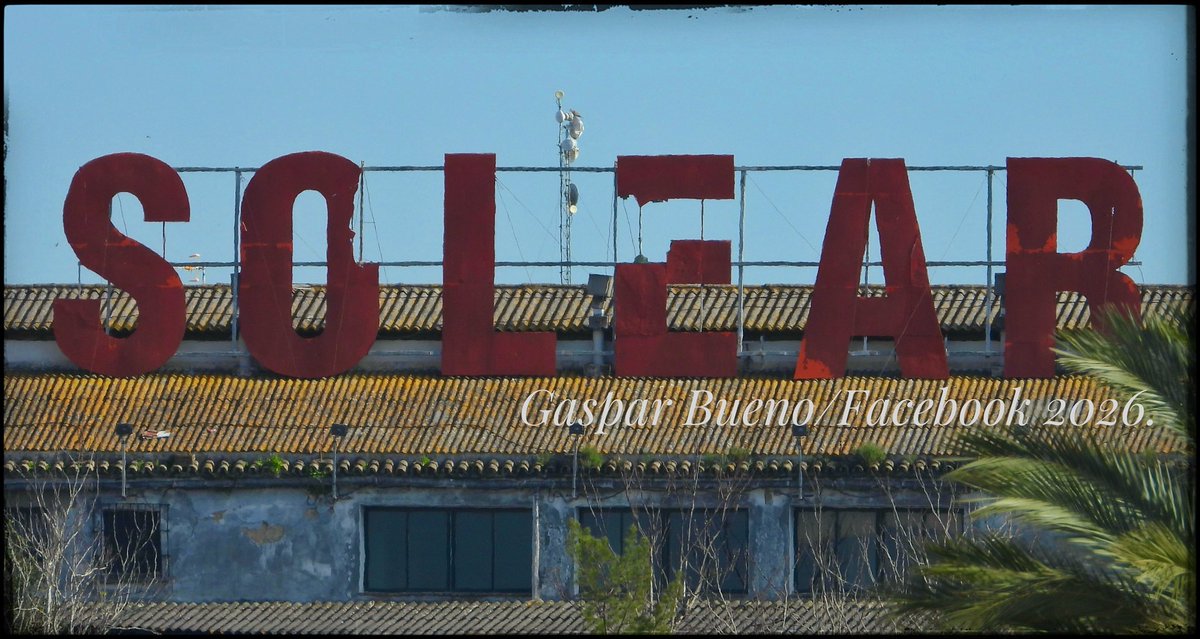 Album Chipiona tweet media