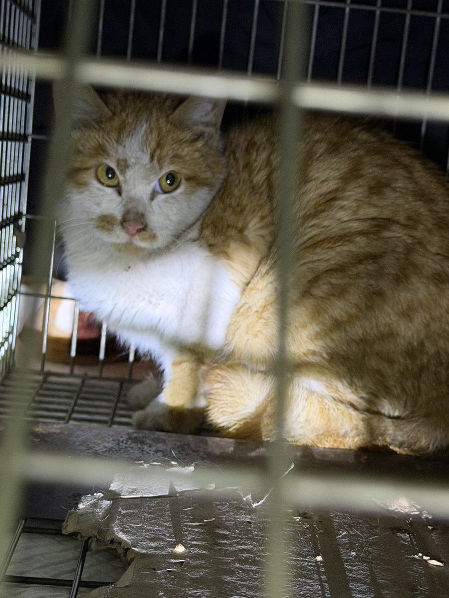 느리지만 이루는 자 tweet media