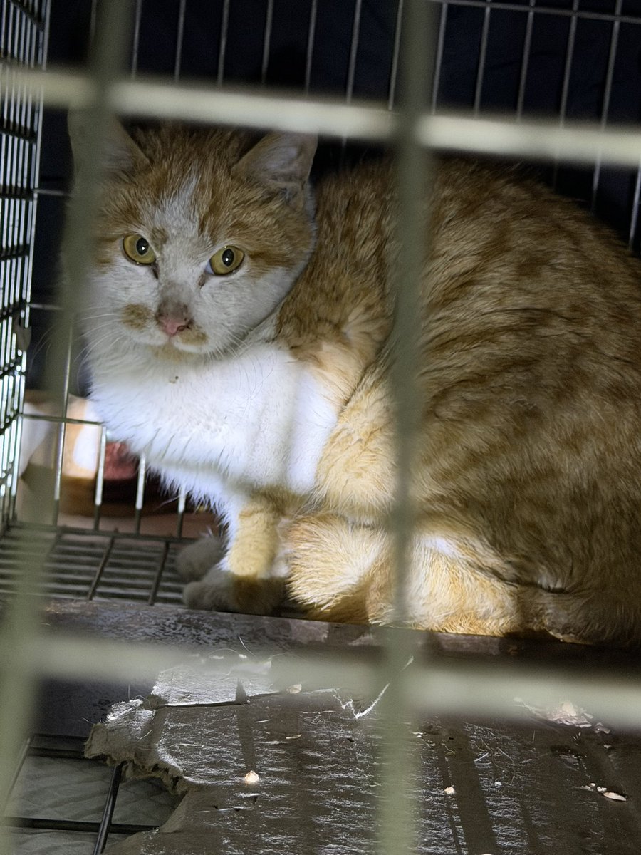 느리지만 이루는 자 tweet media