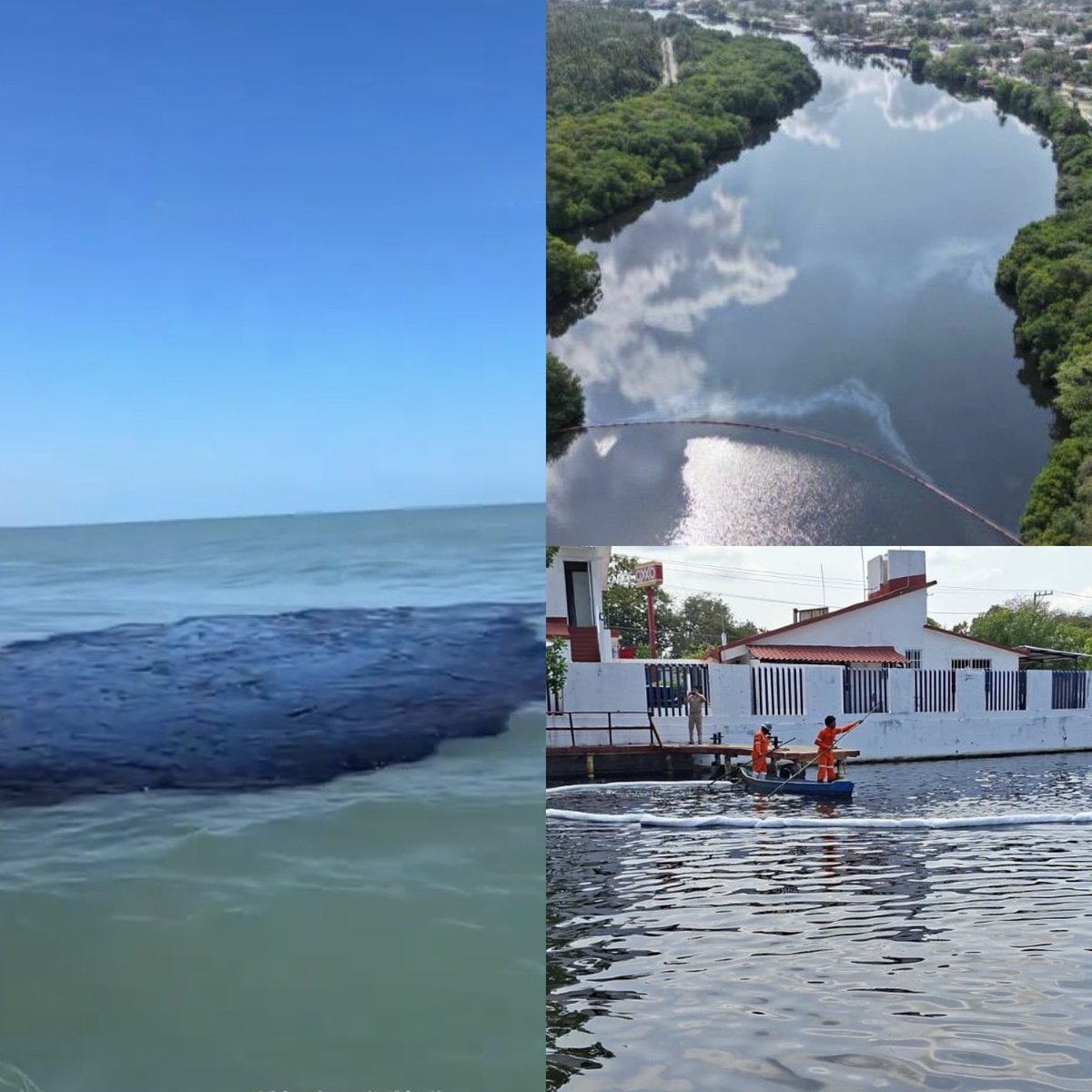 Cerebros tweet media