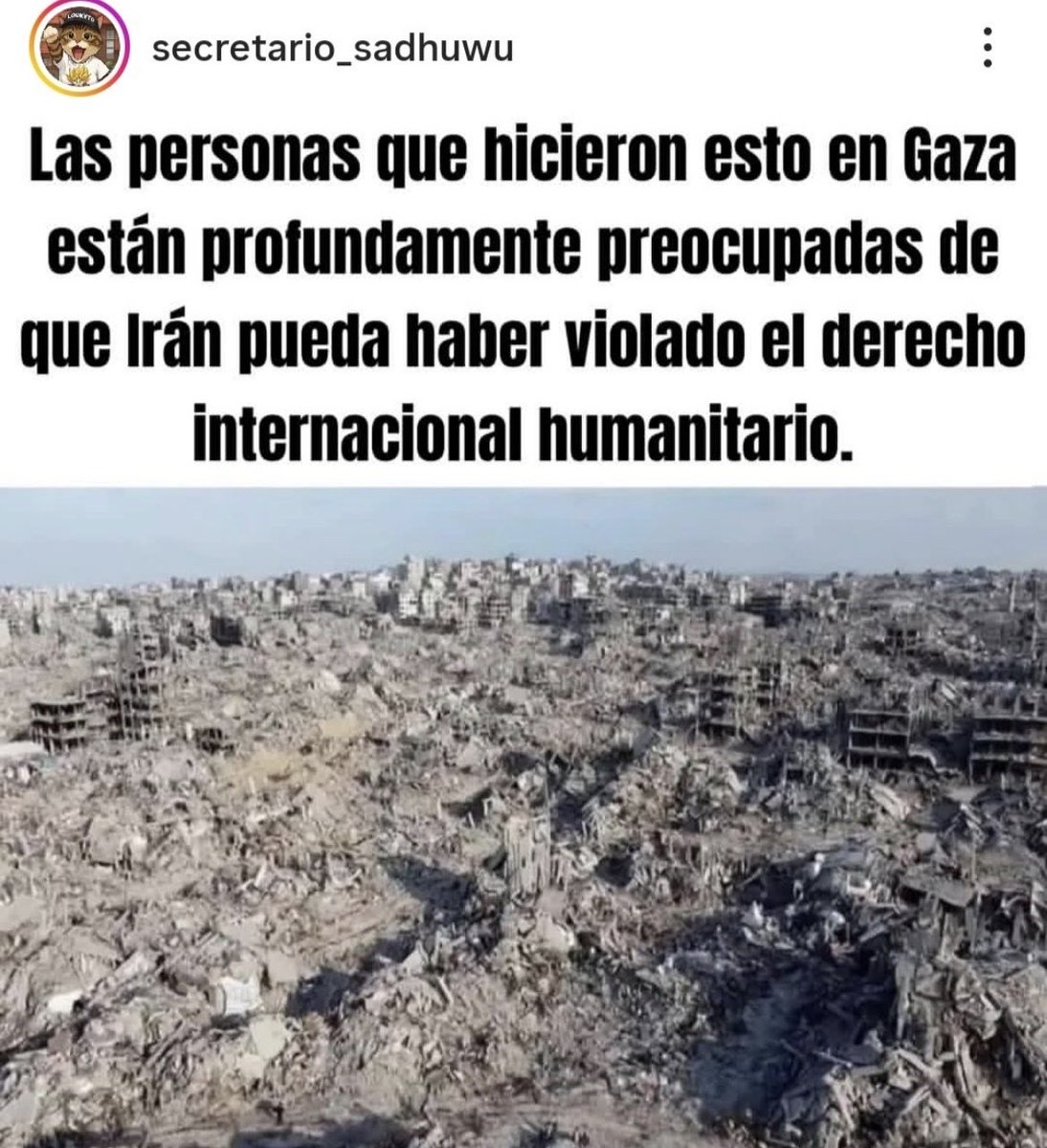 Dragoncito tweet media