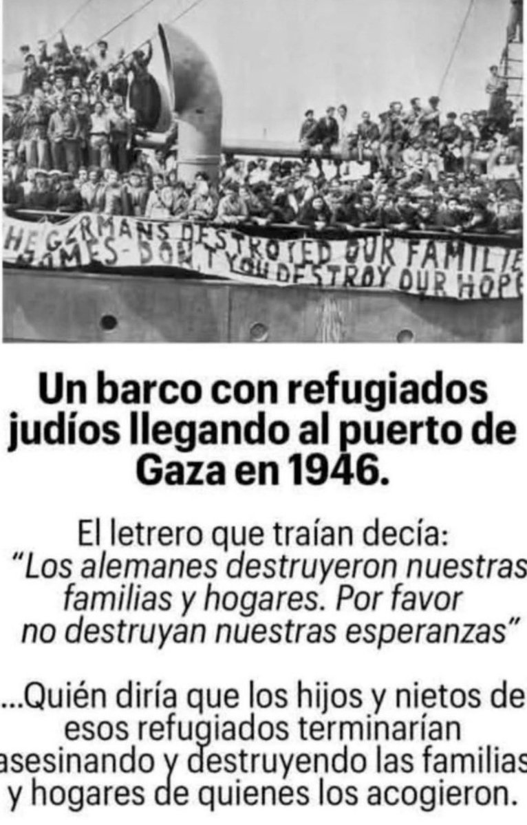 Dragoncito tweet media