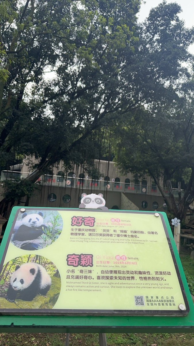 澜心(唯一号) tweet media