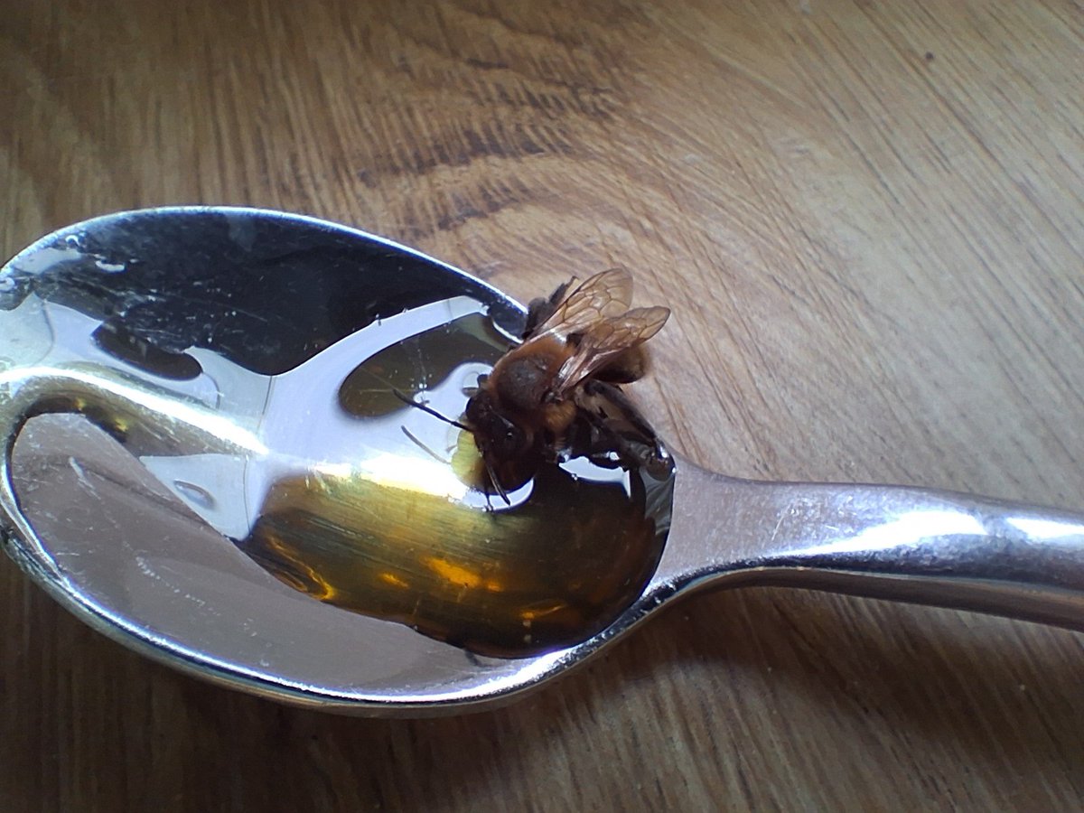 Beachmaster tweet media