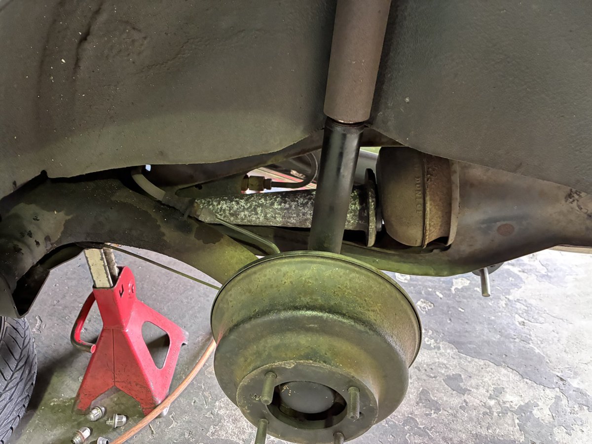 佐藤愛美🐿Ami Sato tweet media