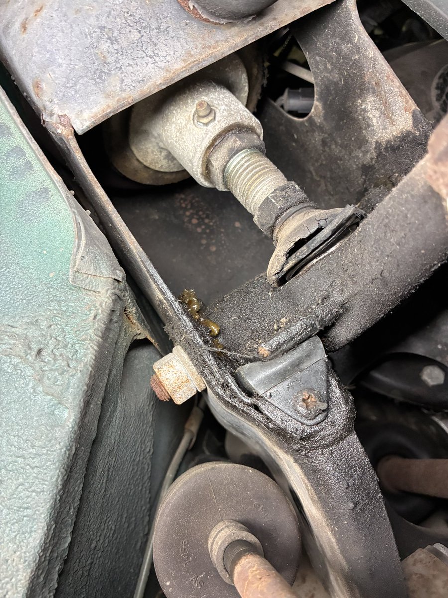 佐藤愛美🐿Ami Sato tweet media