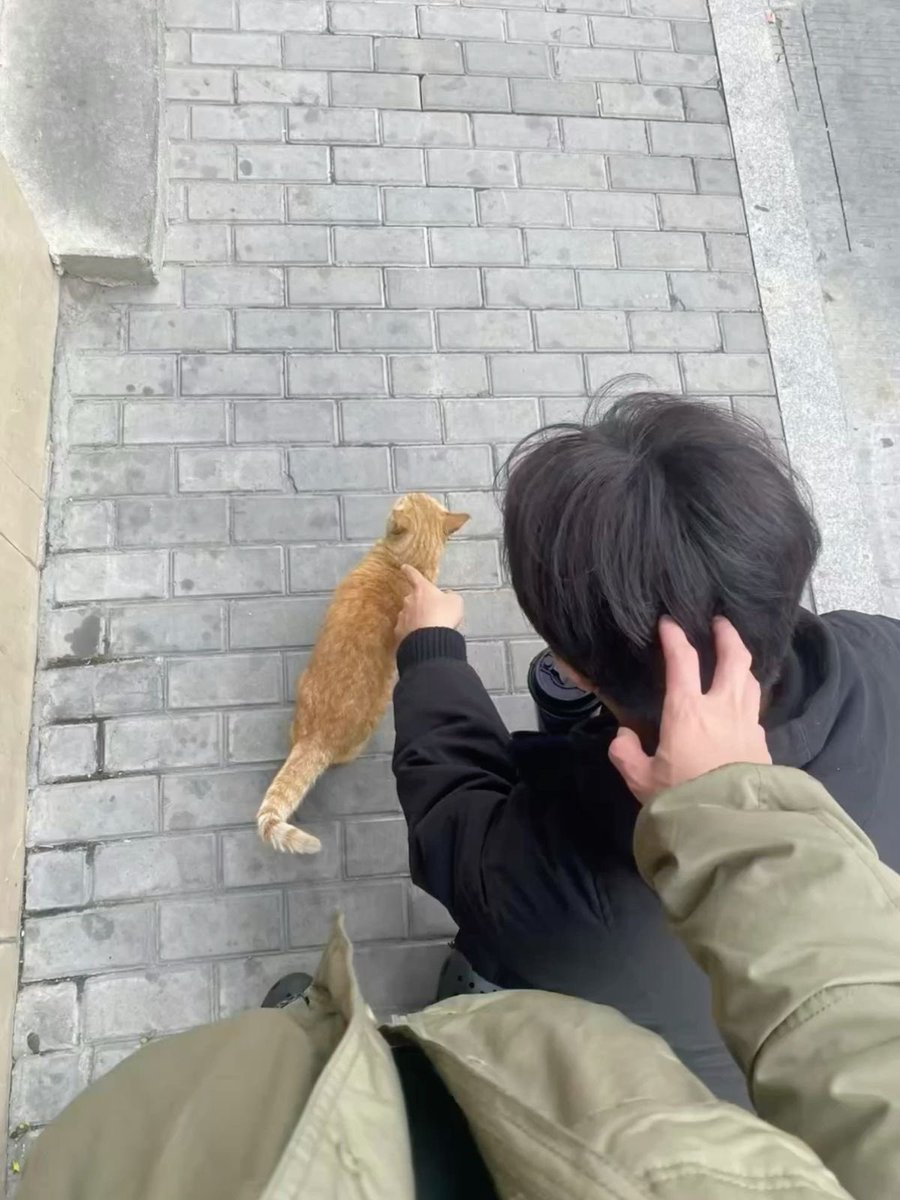 privateahn🐰🍮 tweet media