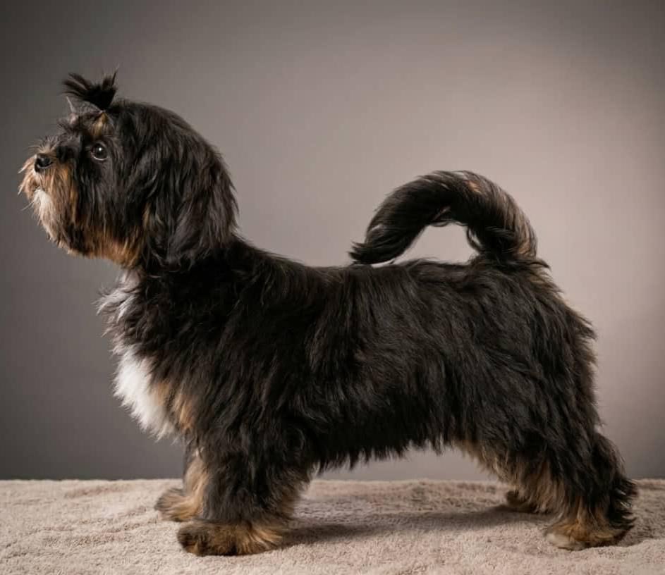 Ifeanyichukwu tweet media