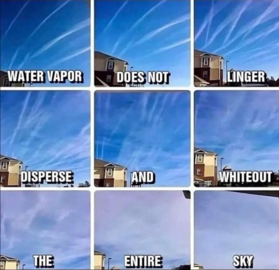 Concerned Citizen tweet media