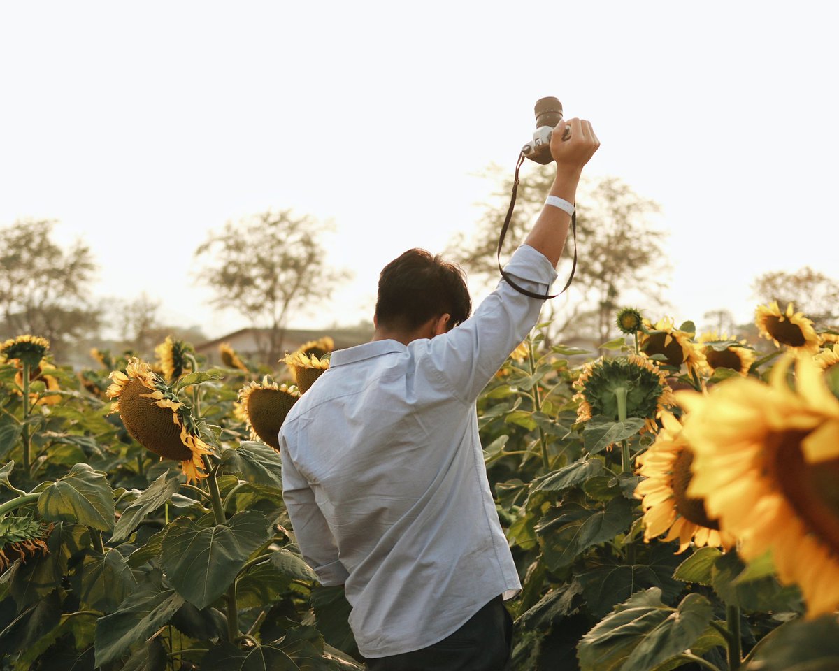 โยคาพรามูลา tweet media