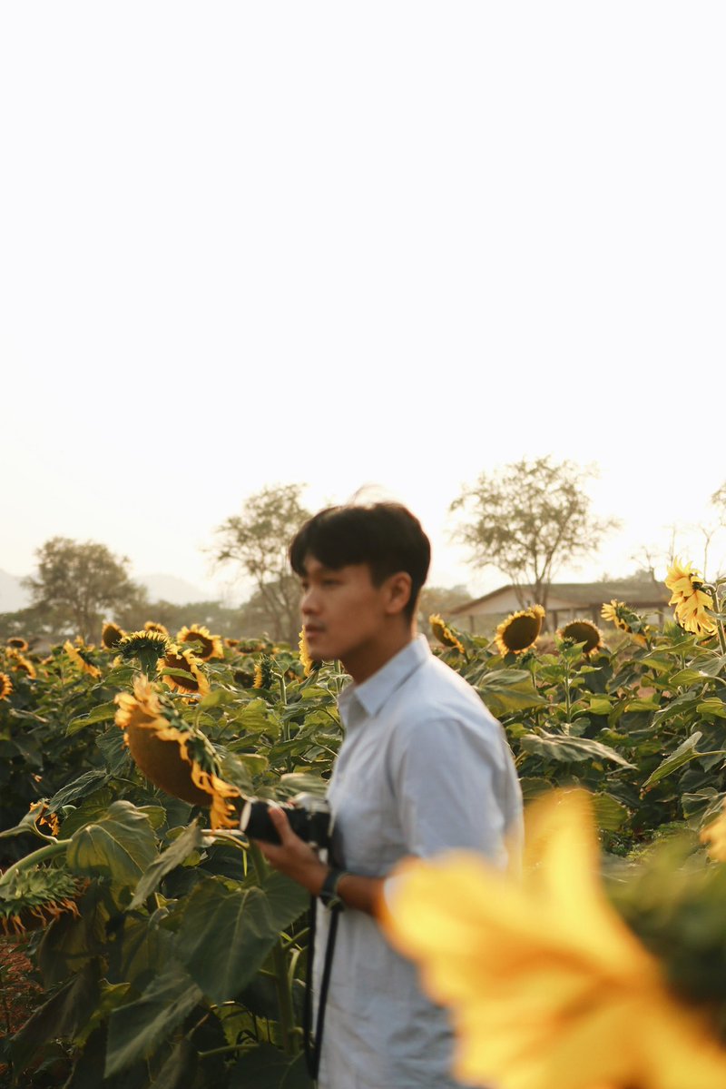 โยคาพรามูลา tweet media