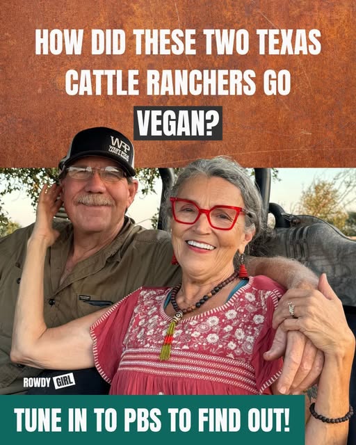 RowdyGirlRanch's tweet photo. Our film Rowdy Girl began airing on PBS stations all across the US!
It tells the story of how a Texas cattle ranch was transformed into Rowdy Girl Sanctuary — and what can happen when someone chooses a different path for animals.
Find your local schedule: https://t.co/EKqTWEACTW https://t.co/Age0FNtxly
