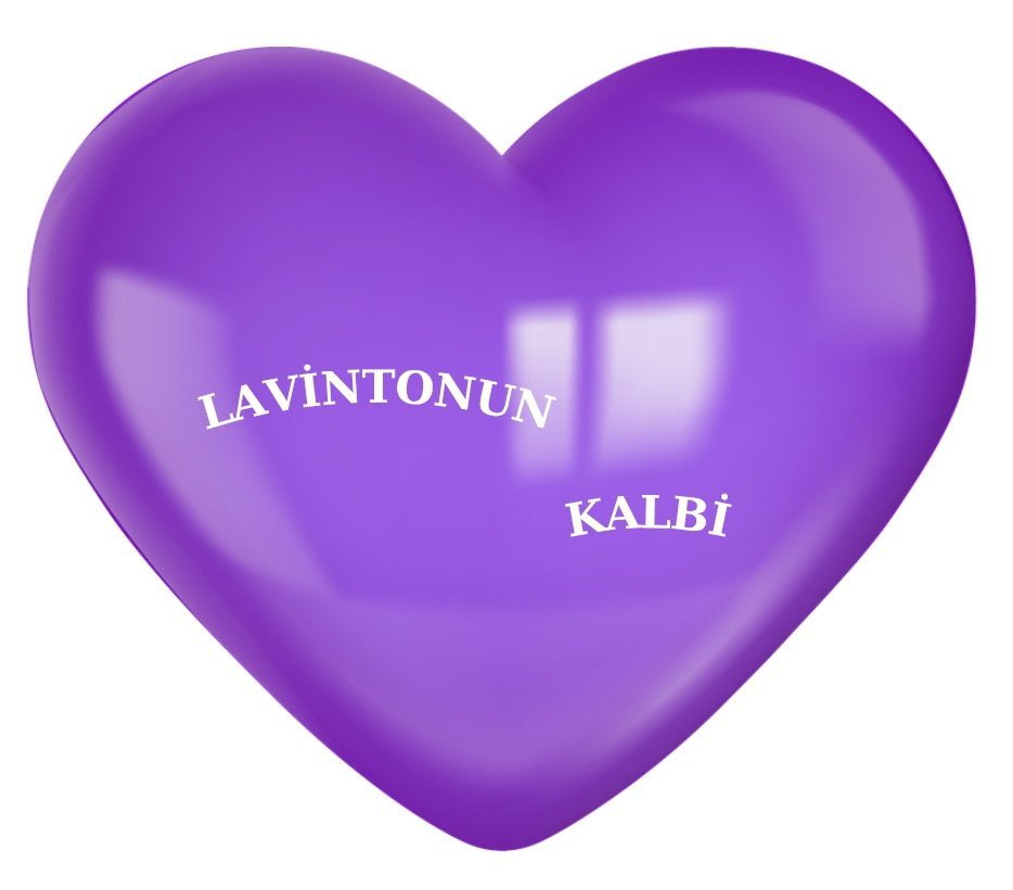 𝐥𝐚𝐯𝐢𝐧⁷ |⊙⊝⊜ tweet media