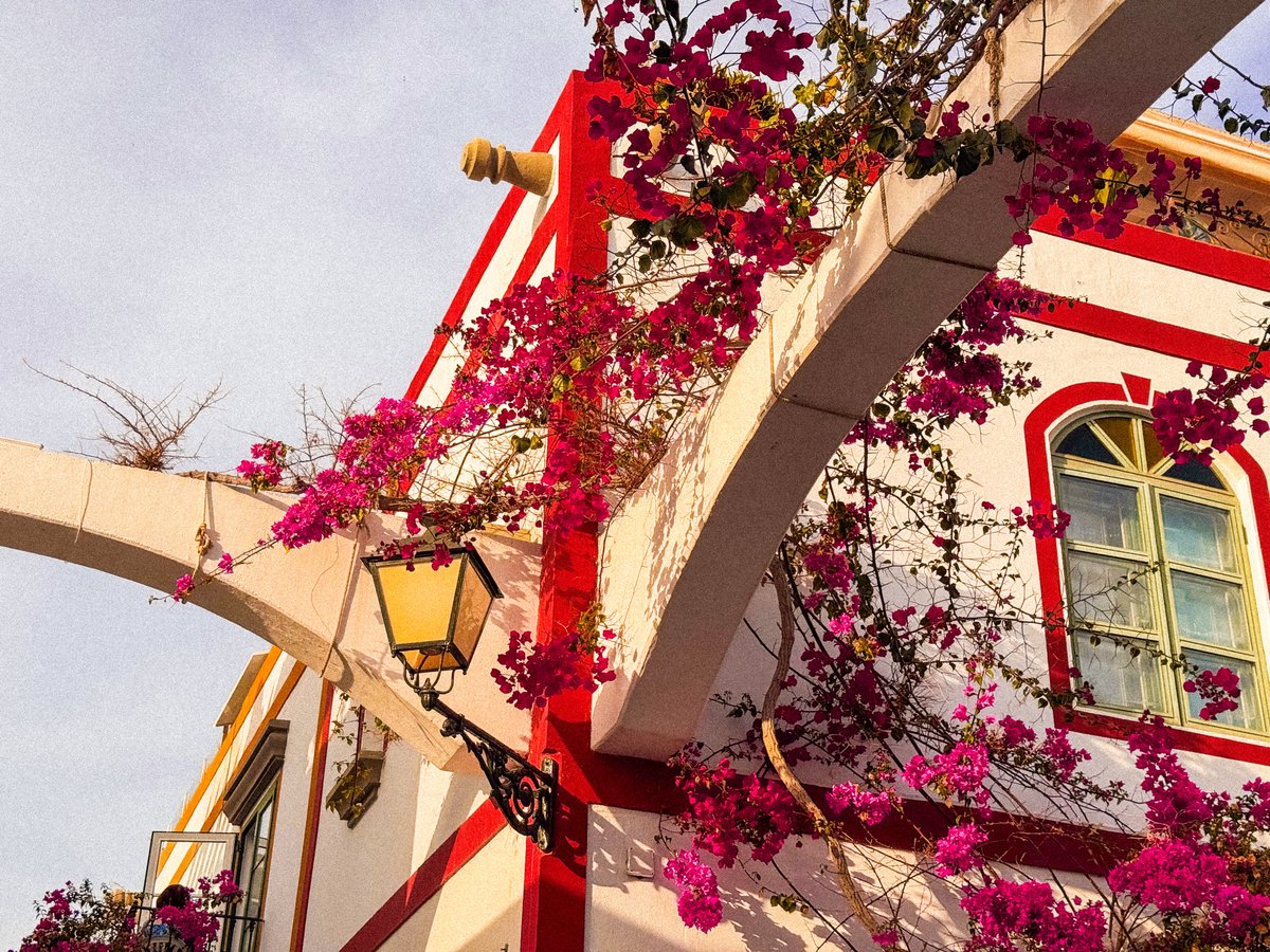 CosyMel ⋆｡˚ 🍃🐛 twitchcon EU! tweet media