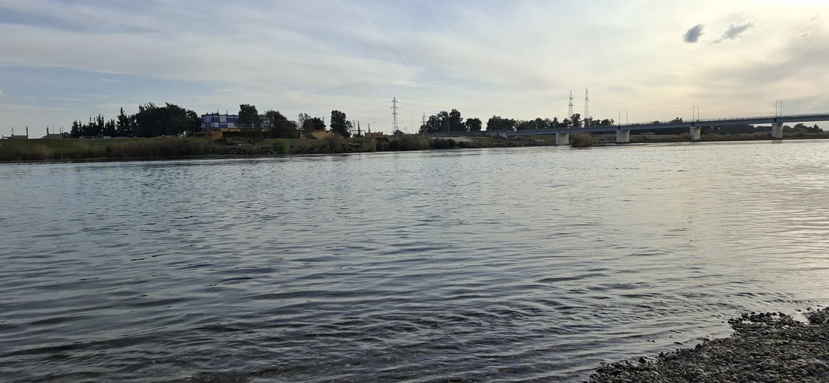 Hamza Alhamoud tweet media