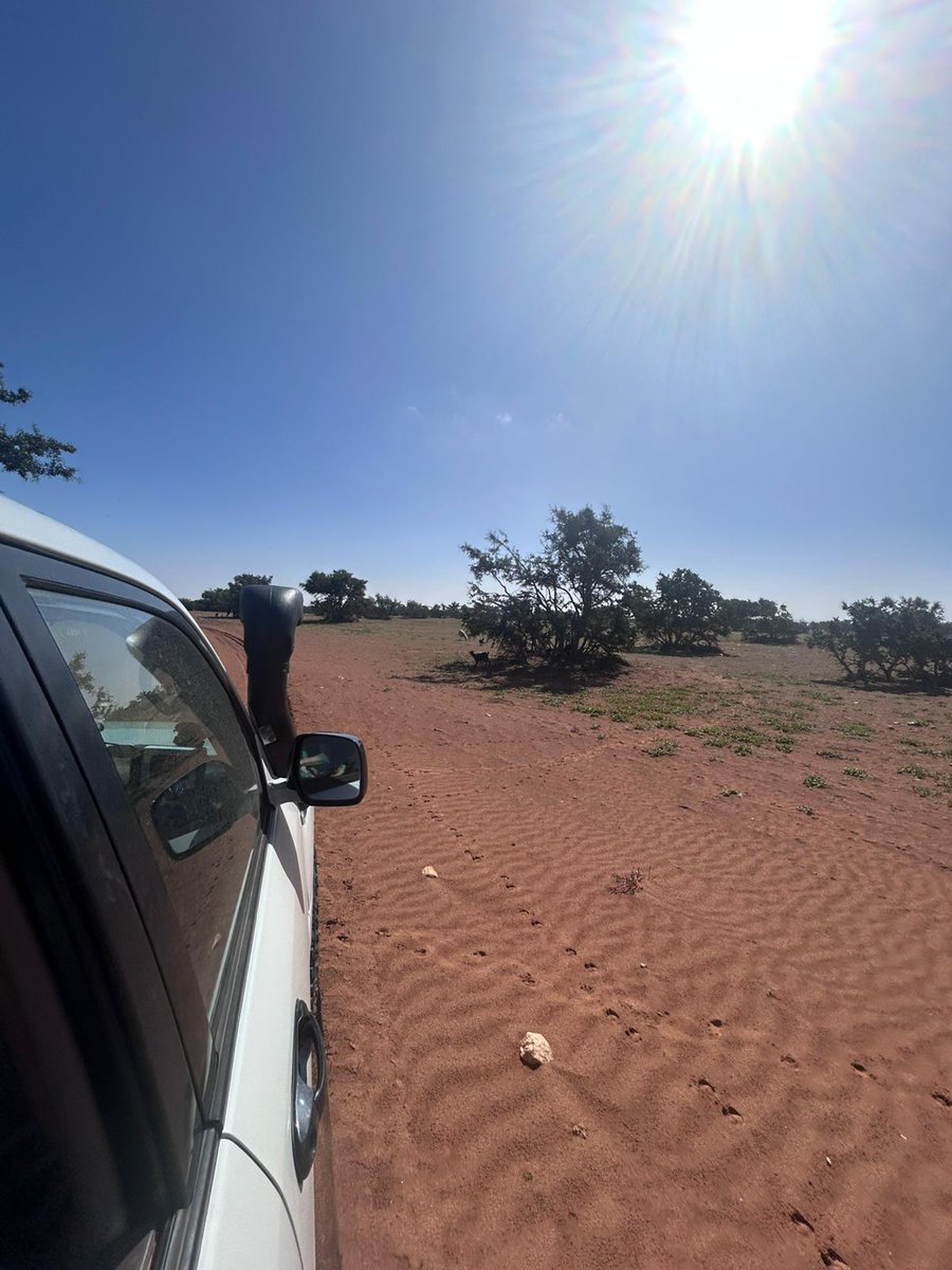 Rallye Du Maroc tweet media