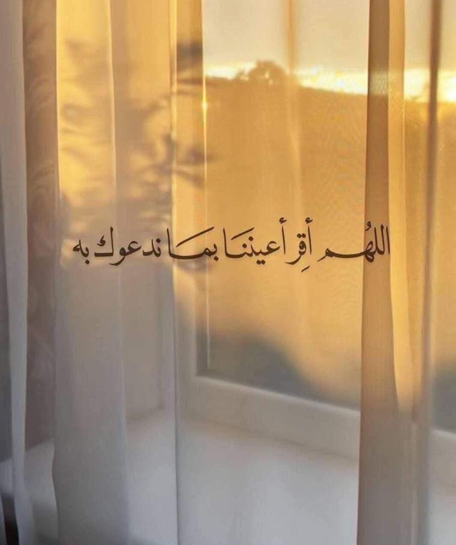 إبتسام بنت عبدالله عوض باجبير مواليد ١٣٨١ هجريه tweet media