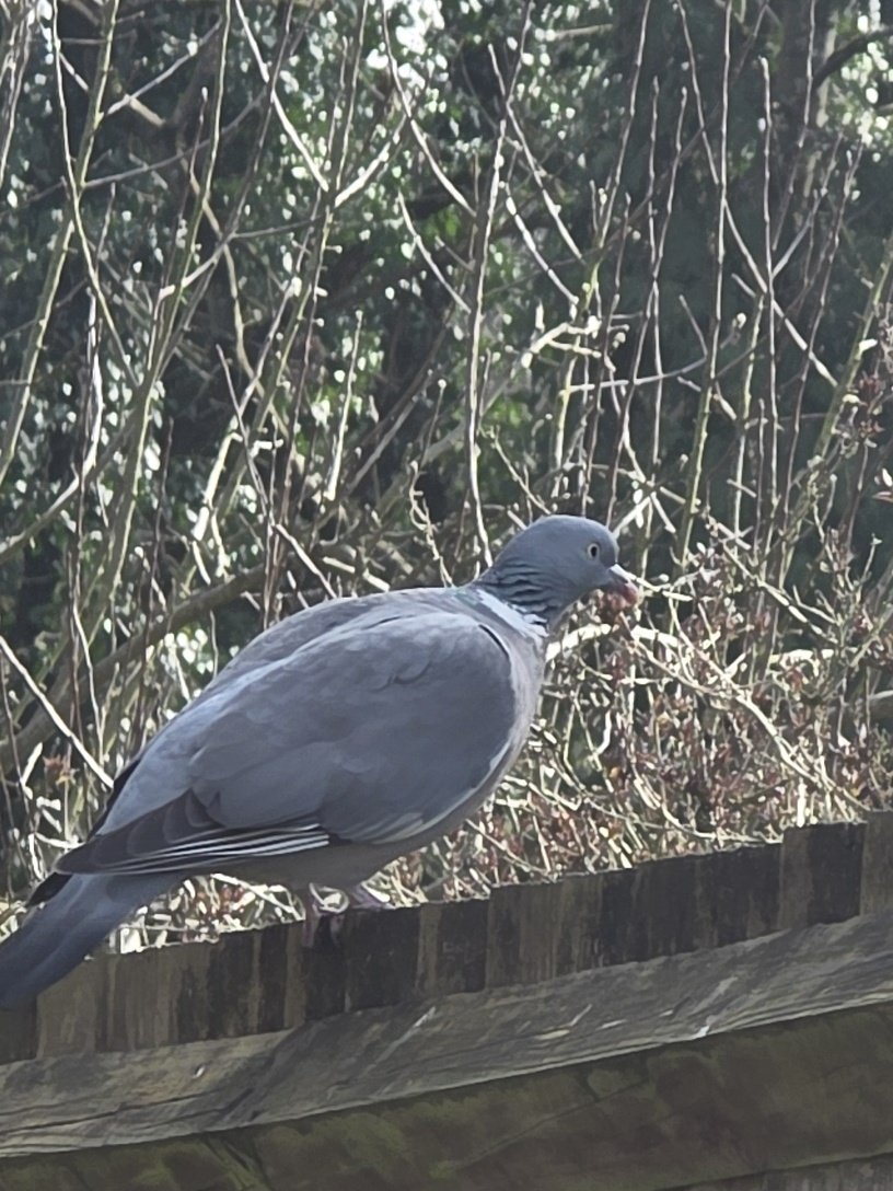 Gracie💙 tweet media