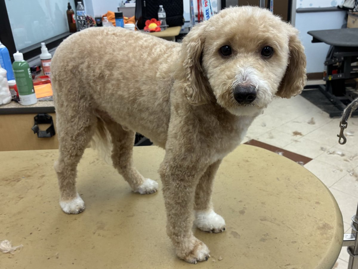 aaron 𐂂 tweet media